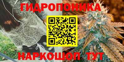 дживик Кунгур