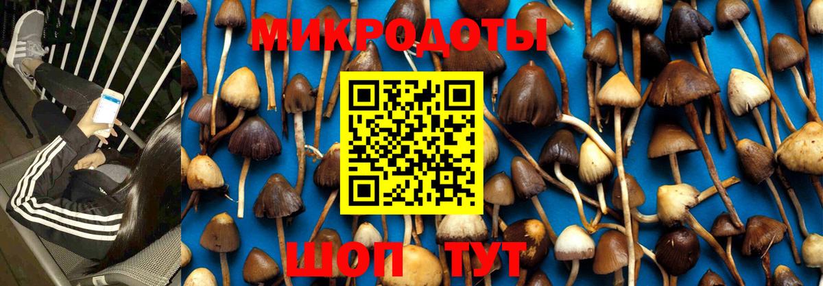 Галлюциногенные грибы Magic Shrooms Кизилюрт